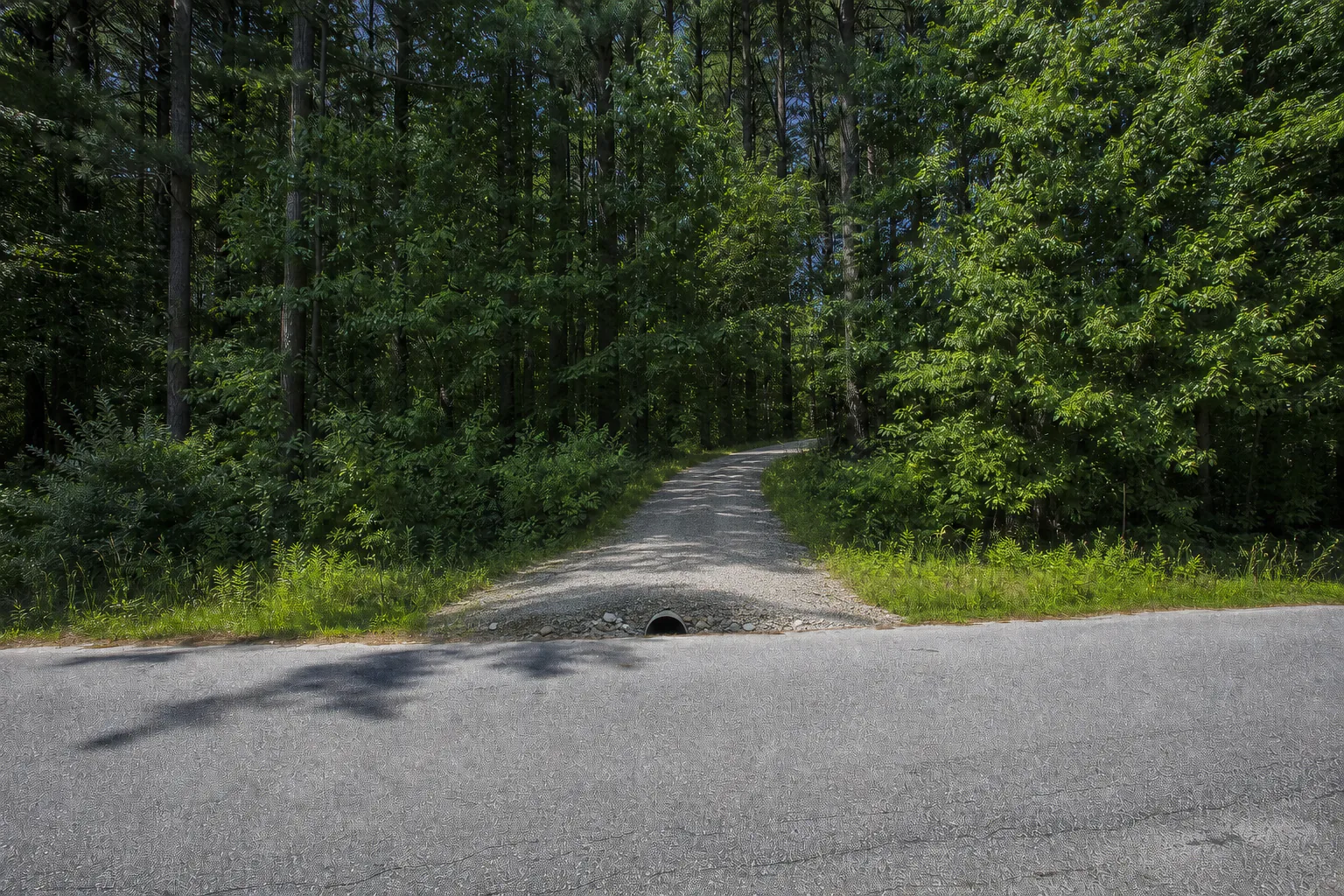 After: a cleanly cut and graded gravel driveway into the property
