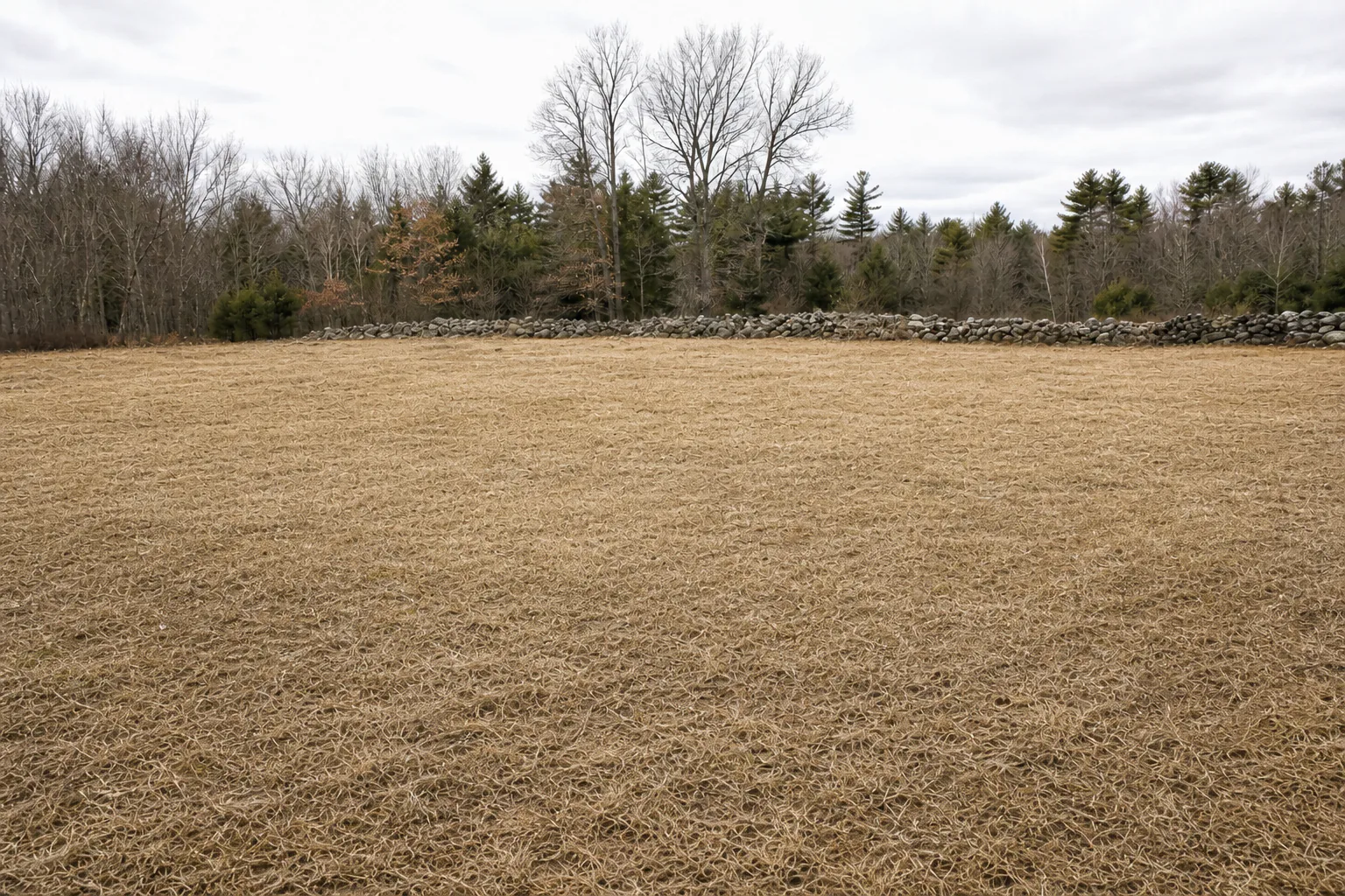 After: same field cleared of rock, smooth and usable