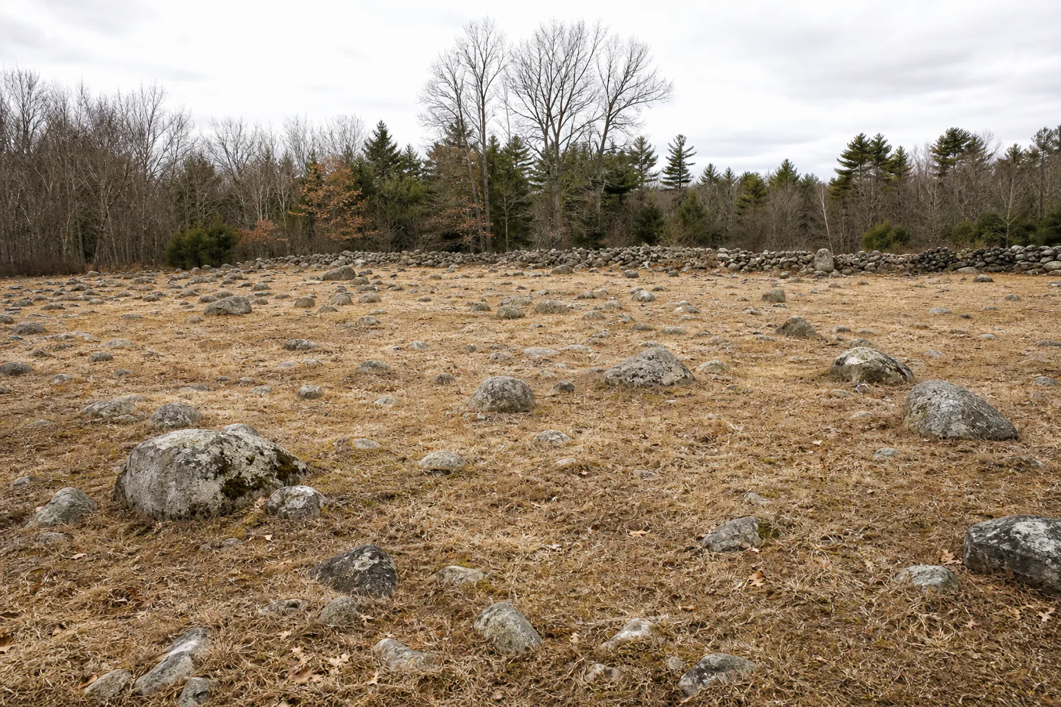 Before: old hayfield strewn with glacial granite boulders